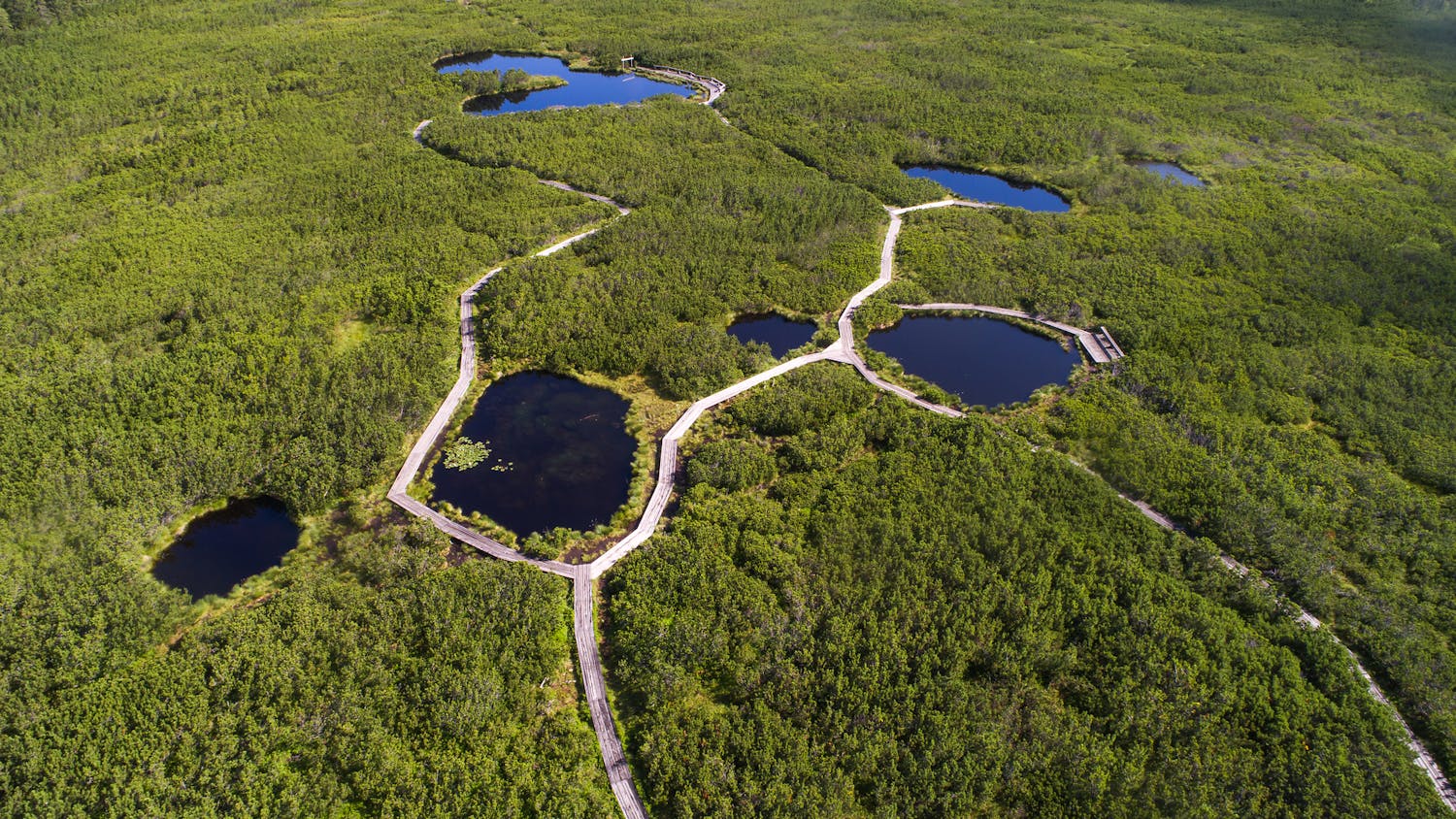 Lovrenc Lakes